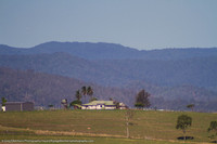 IMG_7431
